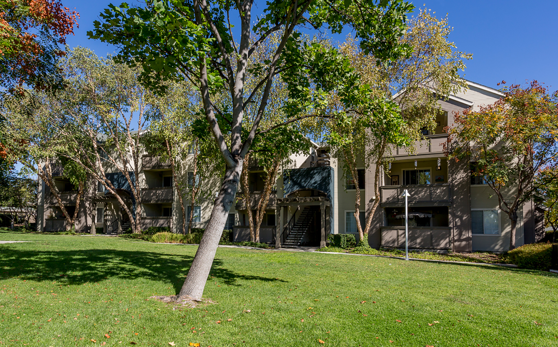 Avalon Campbell | AvalonBay Communities