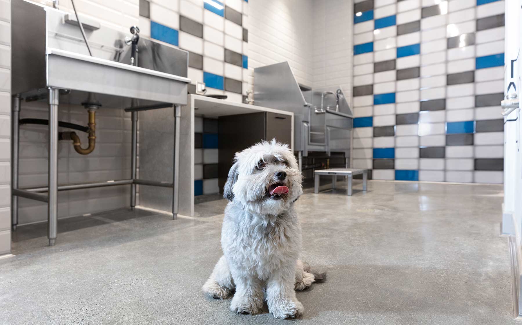 Apartments for Rent in Emeryville, CA AvalonBay Communities