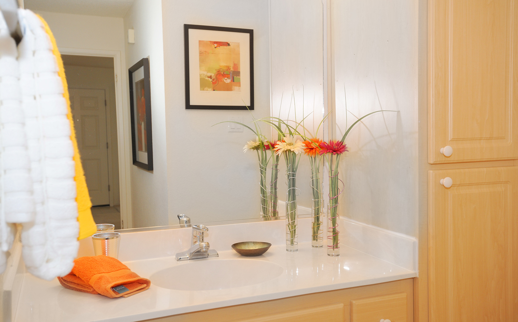 Apartments for Rent in Daly City, CA AvalonBay Communities