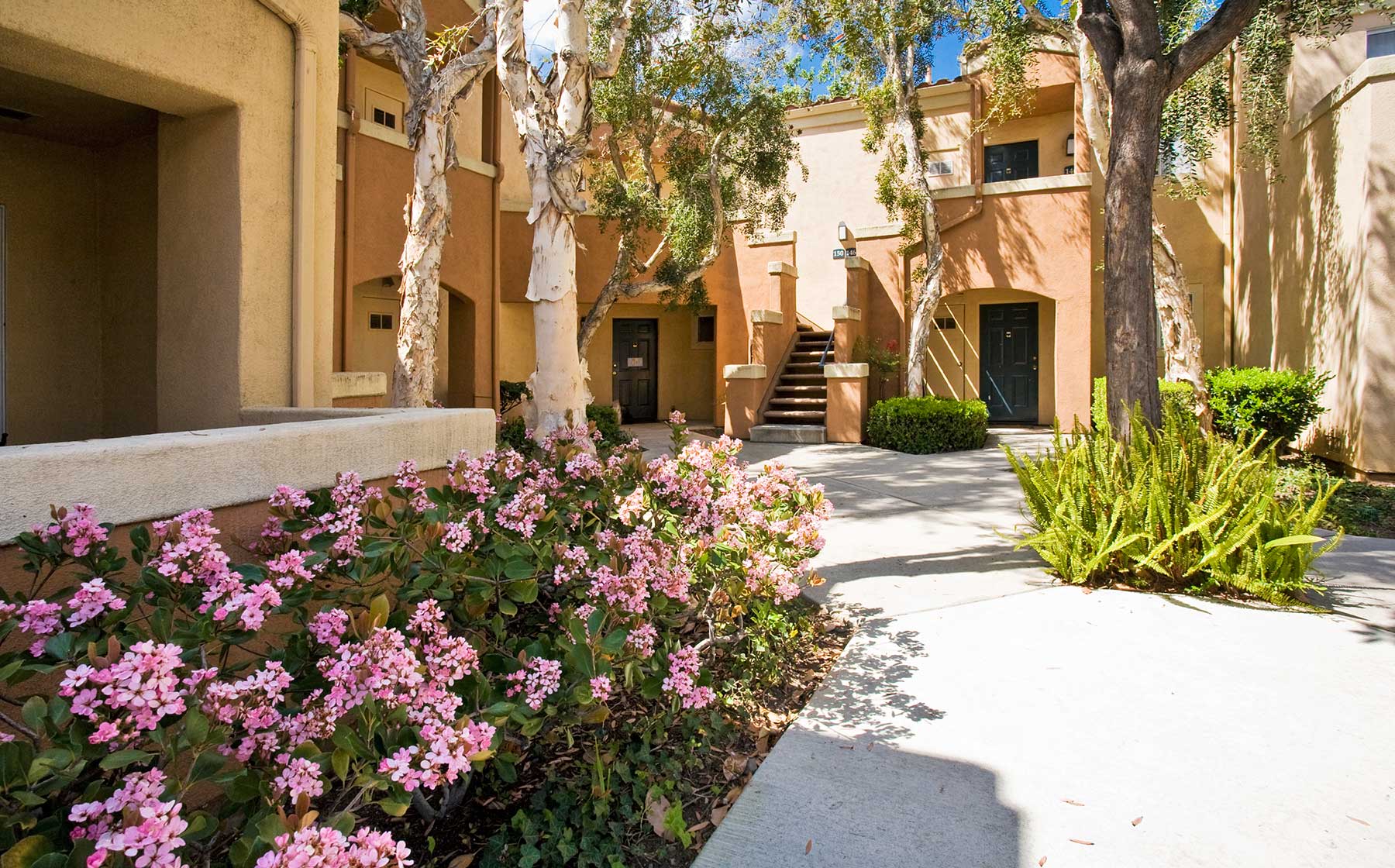 Apartments for Rent in Rancho Santa Margarita, CA AvalonBay Communities