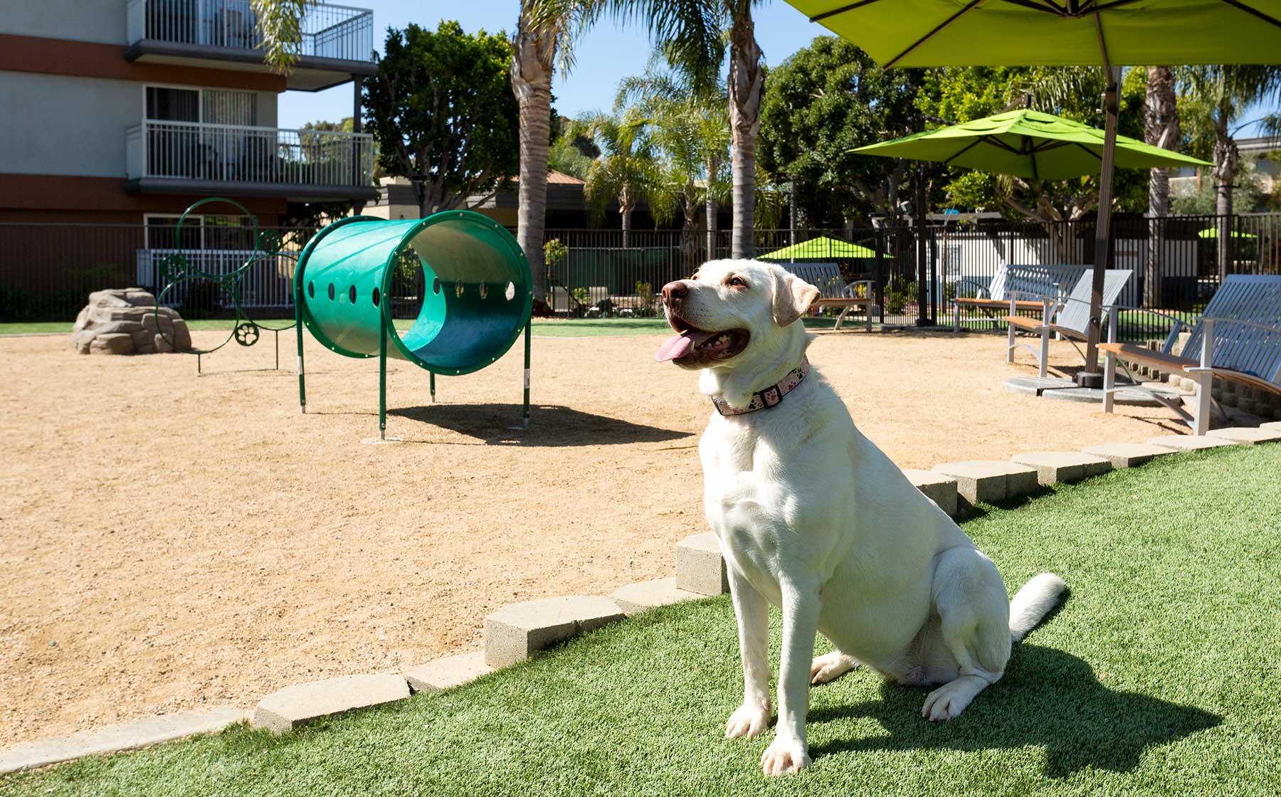 Apartments for Rent in Seal Beach, CA AvalonBay Communities