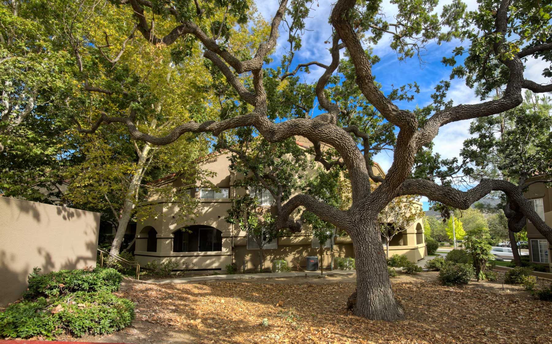 ventura county apartments