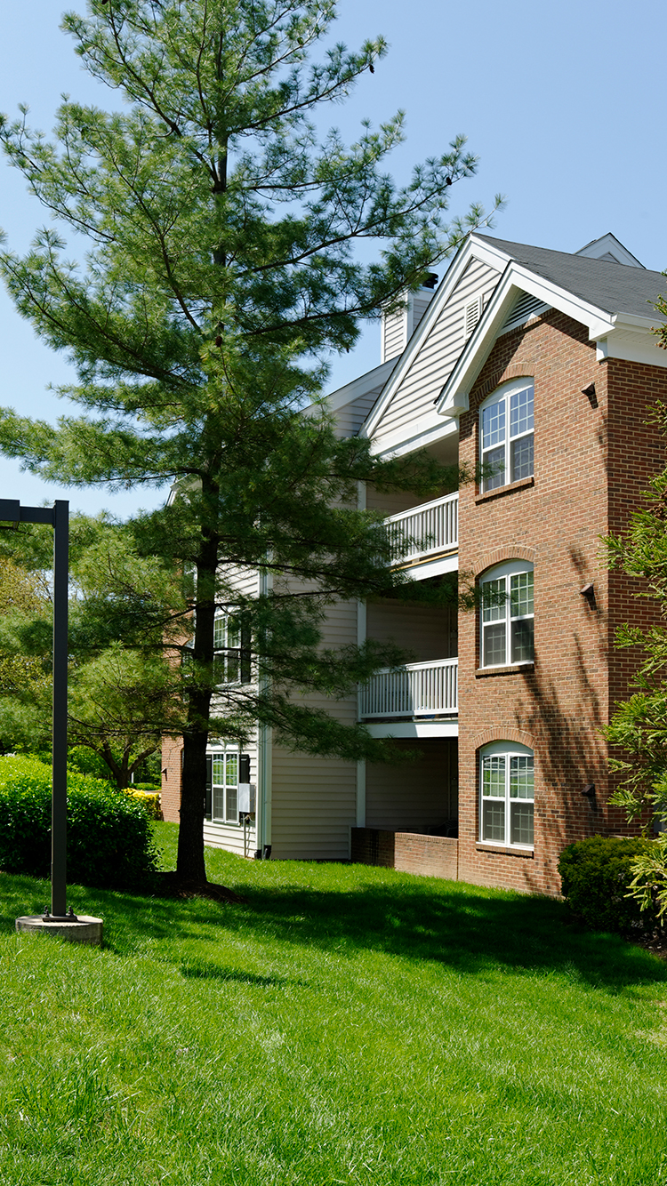 Apartments for Rent in Fairfax County, VA AvalonBay Communities