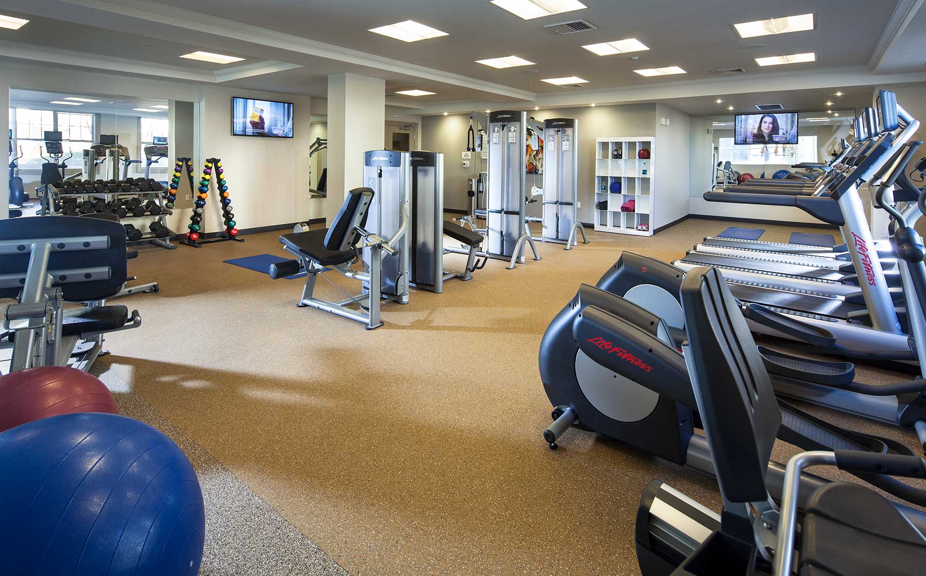 Avalon at Chestnut Hill AvalonBay Communities