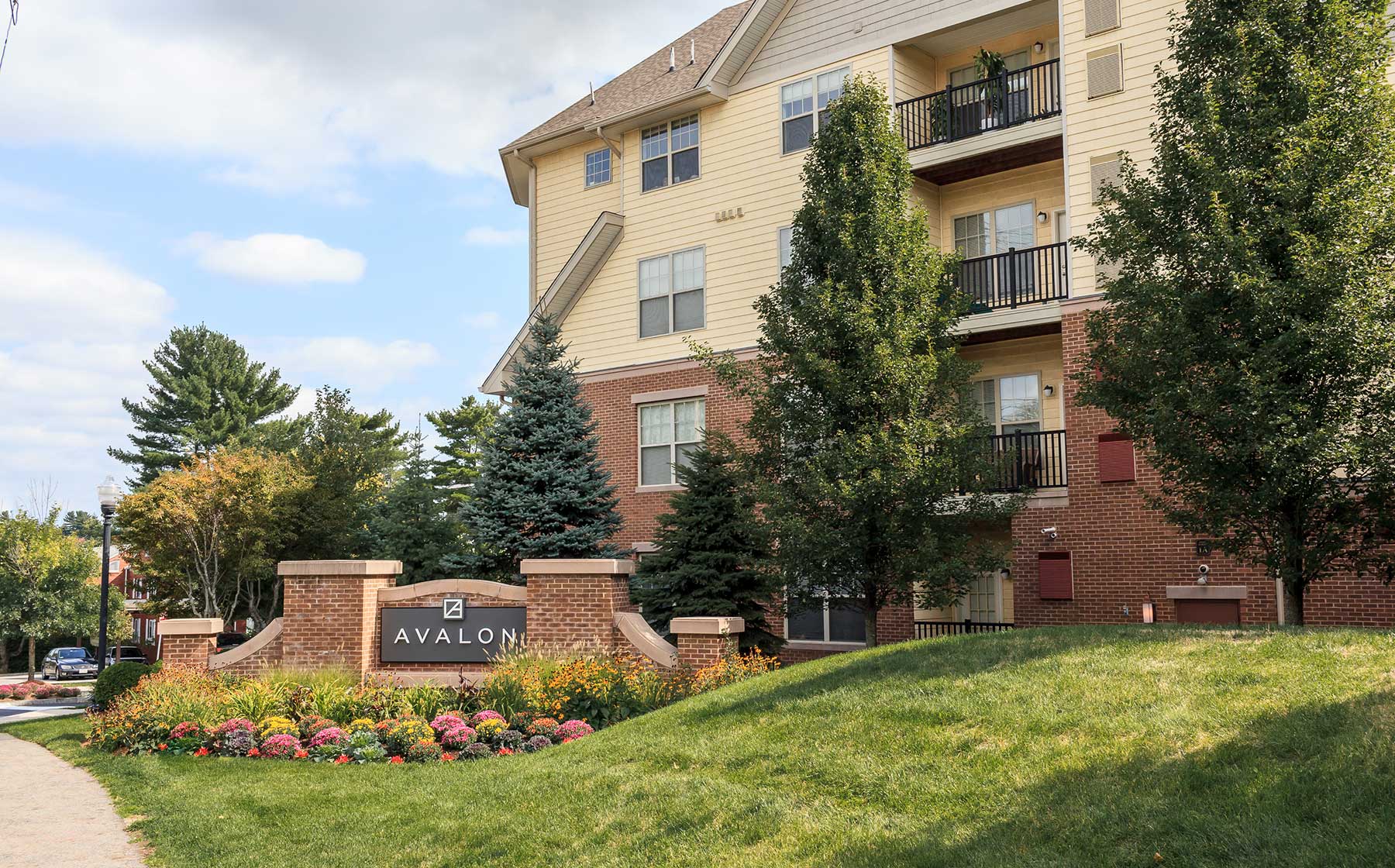 Apartments for Rent in Chestnut Hill, MA AvalonBay Communities